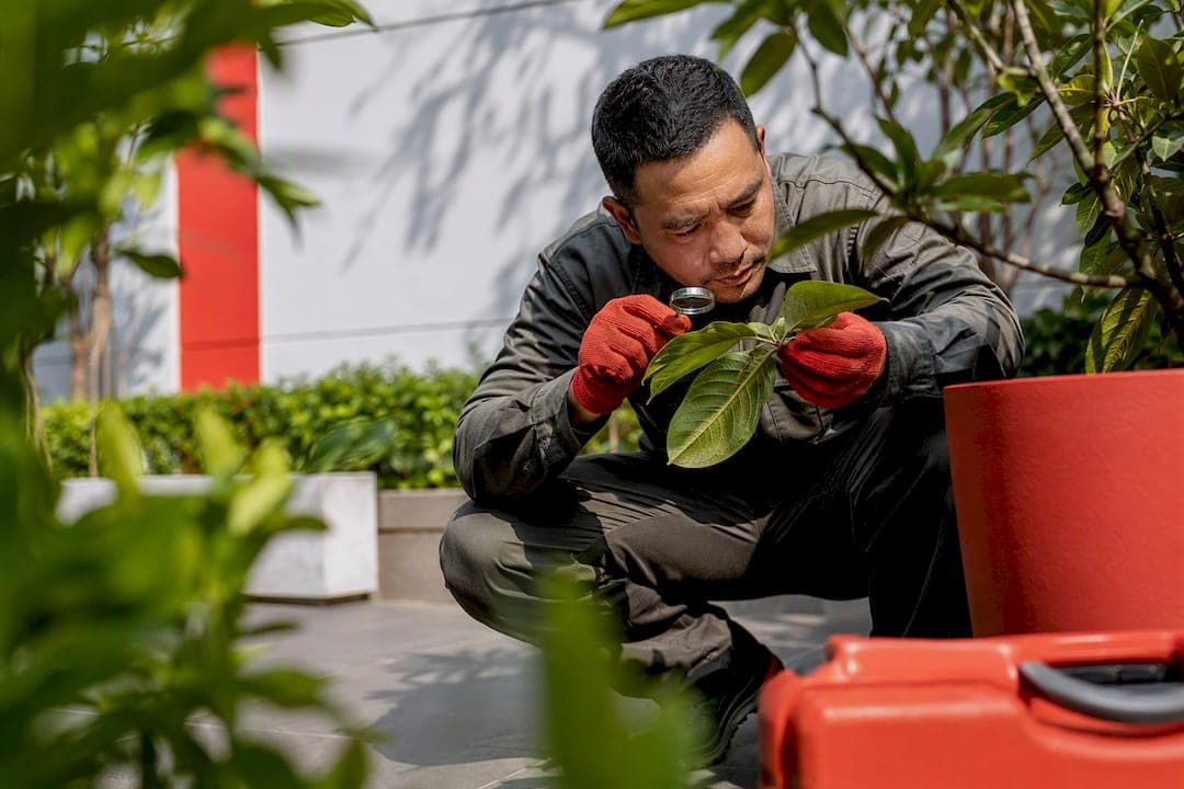 30 Years' IPM Lessons for Eco Friendly Pest Control at Home and Work