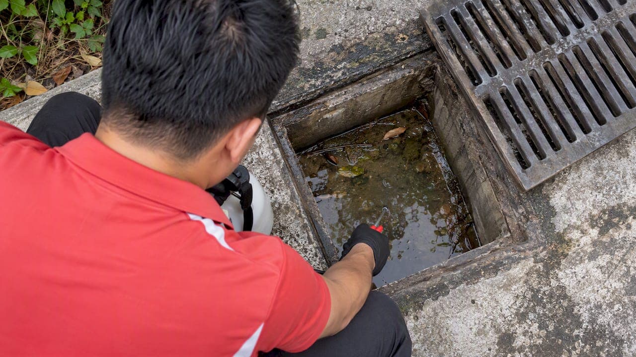 4 Mosquito Larviciding Methods: Match Each to Habitat for Practitioners
